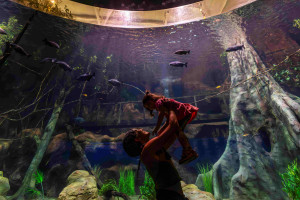 AquaFoz conecta ríos y océanos ampliando las experiencias de conservación en la Triple Frontera